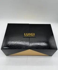 Luigi V6